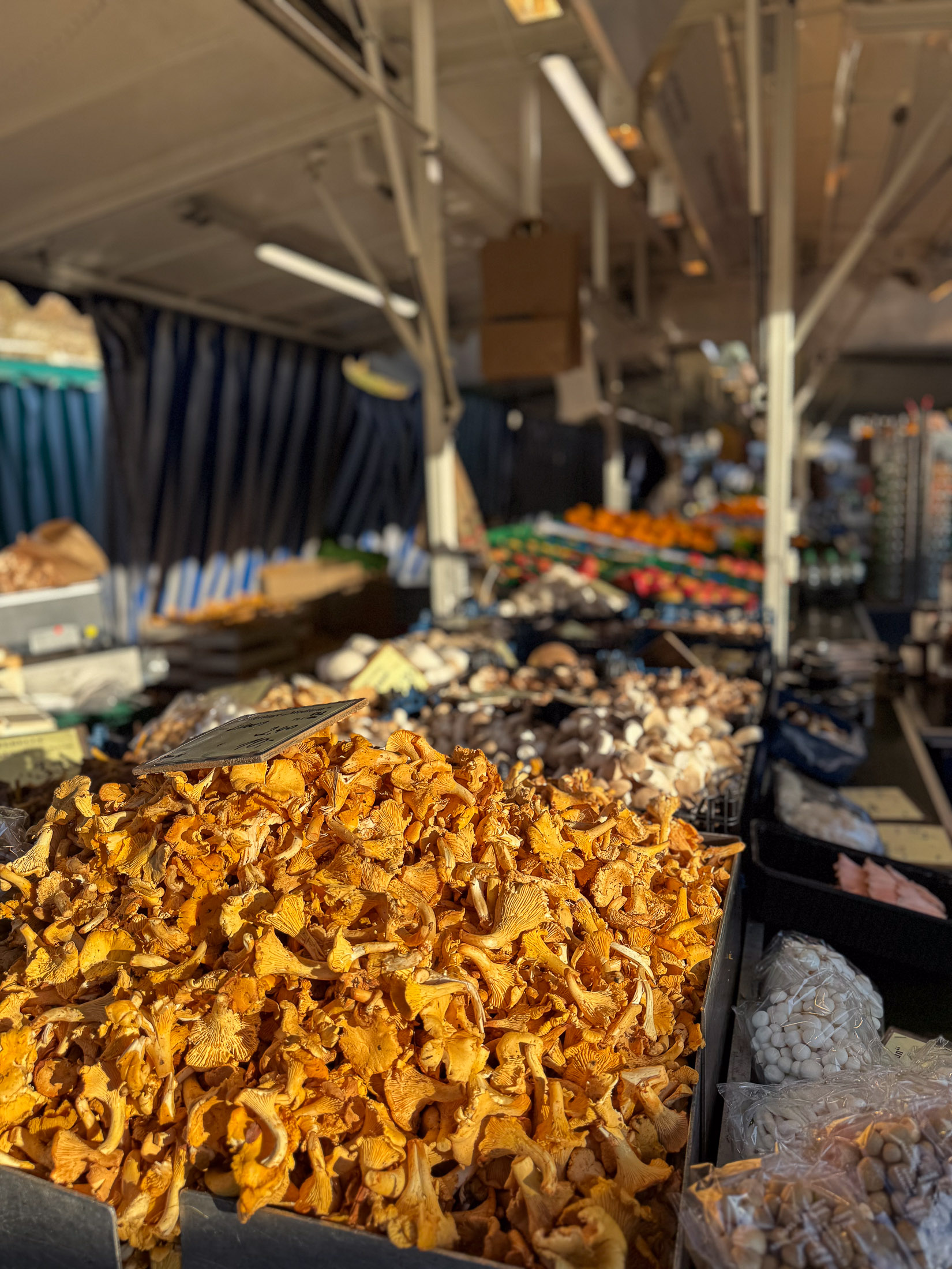 Goldgelbe Pfifferlinge vor weiteren Pilzen in der Auslage eines Marktstands